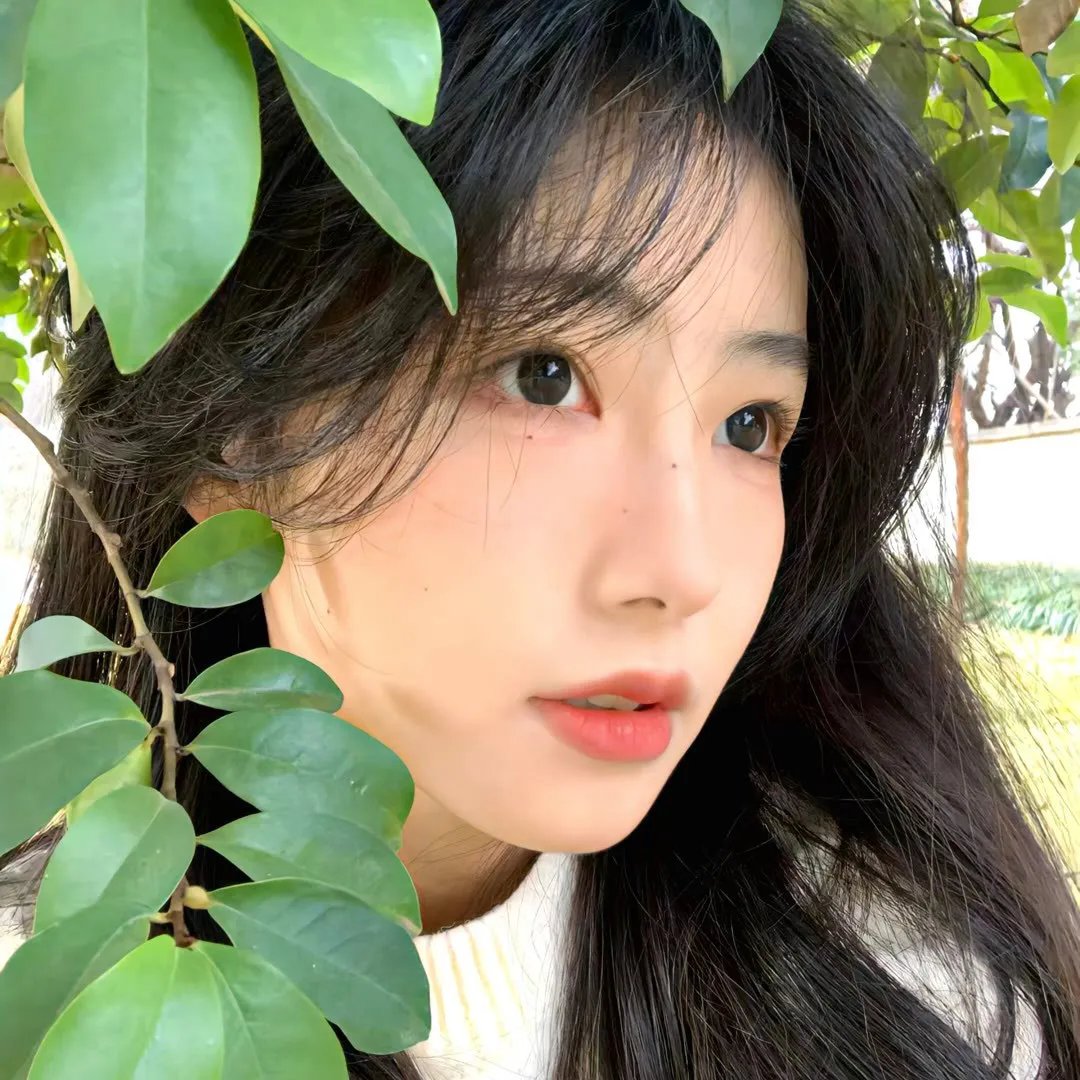 姚喆游击大青山